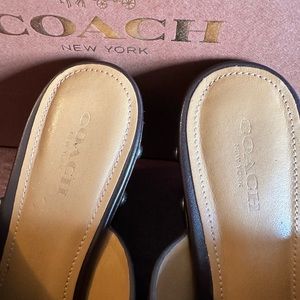 CC 25 Mules Brown Cowhide 329801